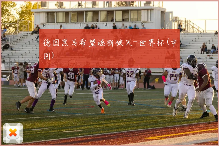 德国黑马希望逐渐破灭-世界杯(中国)