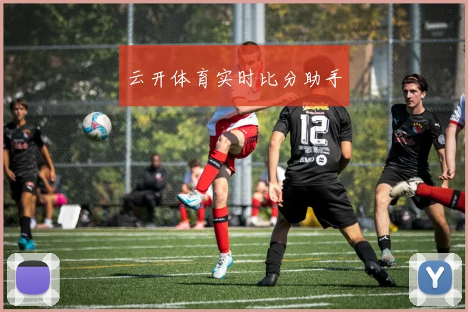 云开体育实时比分助手