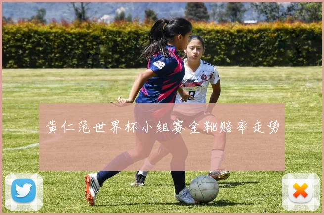 黄仁范世界杯小组赛金靴赔率走势
