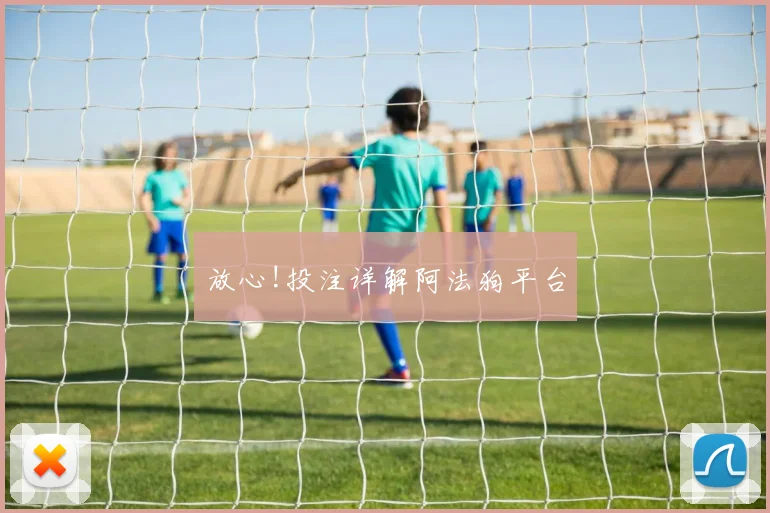 放心!投注详解阿法狗平台