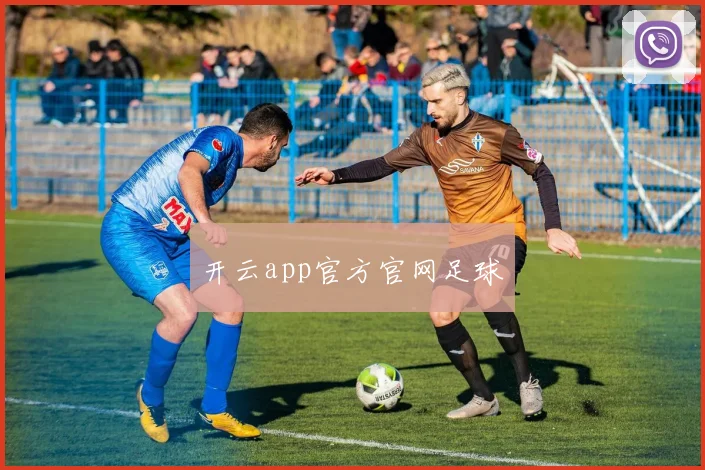 开云app官方官网足球