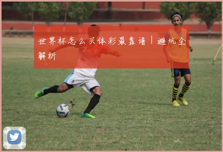 世界杯怎么买体彩最靠谱｜避坑全解析