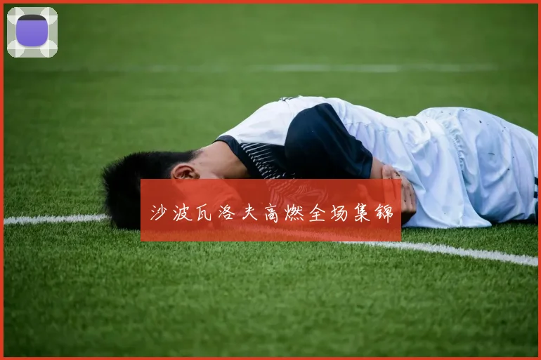 沙波瓦洛夫高燃全场集锦