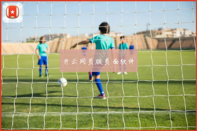 开云网页版页面软件