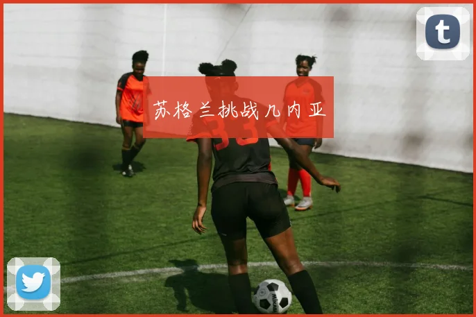 苏格兰挑战几内亚
