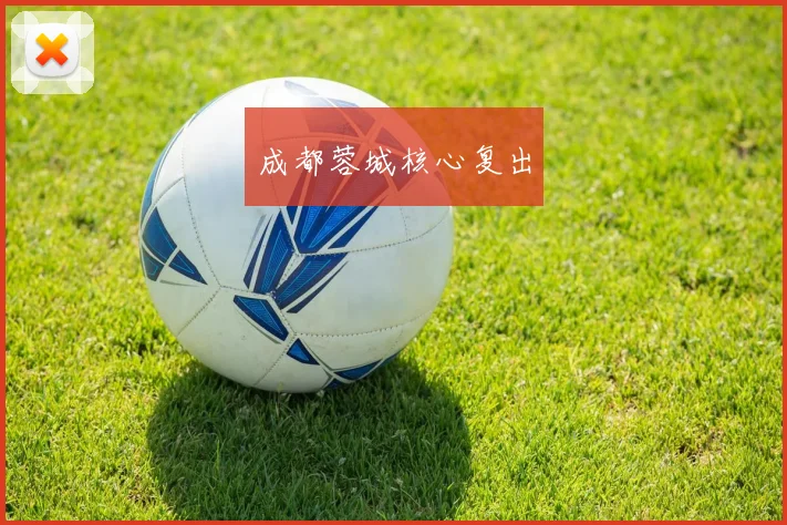 成都蓉城核心复出