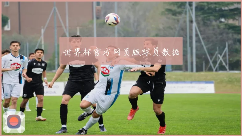 世界杯官方网页版球员数据