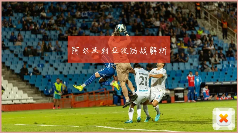 阿尔及利亚攻防战解析