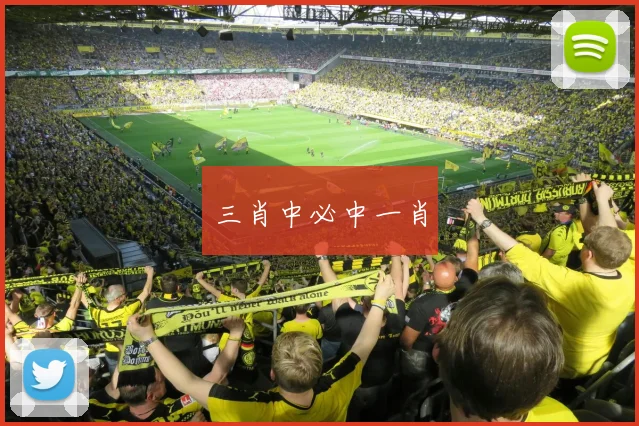 三肖中必中一肖