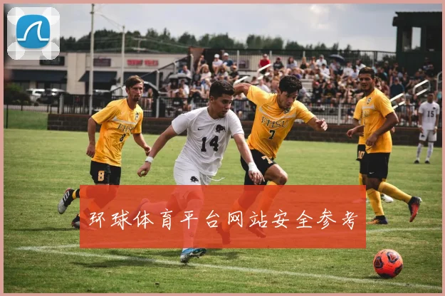 环球体育平台网站安全参考