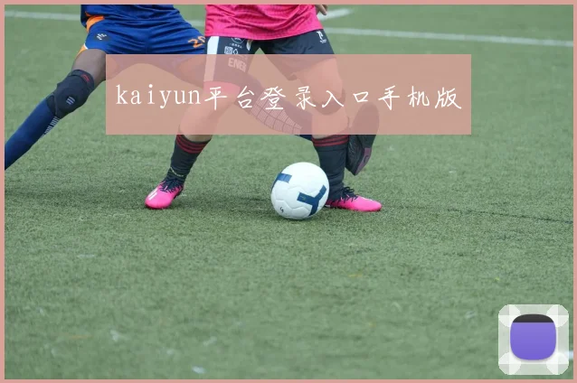 kaiyun平台登录入口手机版