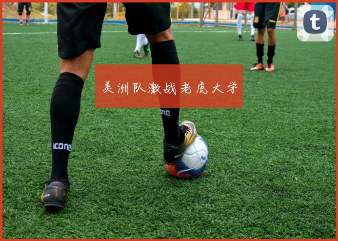 美洲队激战老虎大学