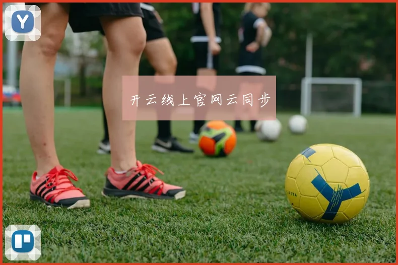 开云线上官网云同步