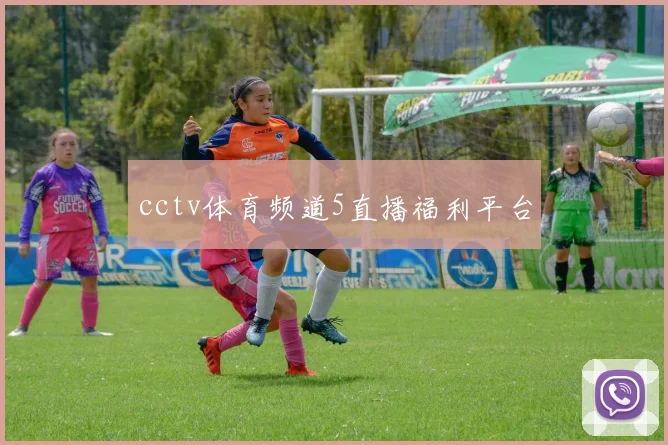 cctv体育频道5直播福利平台