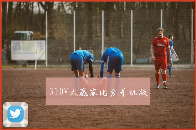 310V大赢家比分手机版