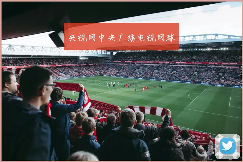 央视网中央广播电视网球