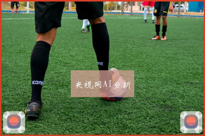 央视网AI分析