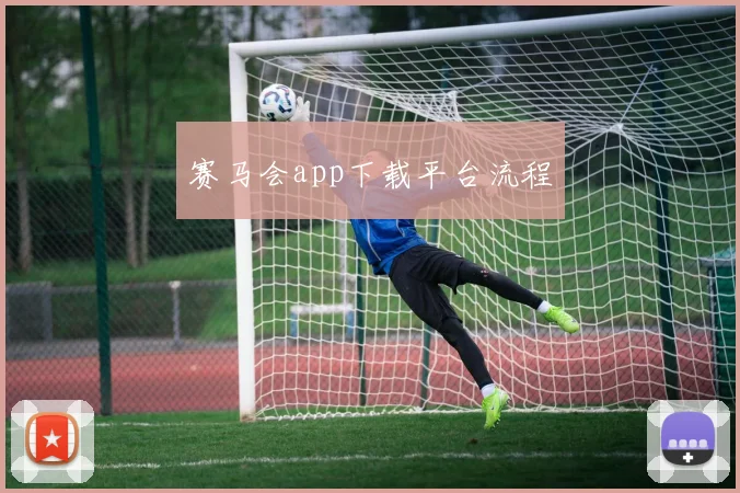 赛马会app下载平台流程