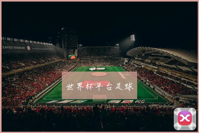 世界杯平台足球