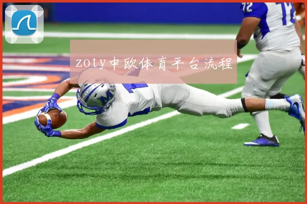 zoty中欧体育平台流程
