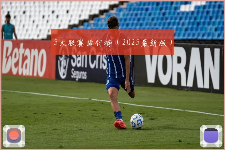 5大联赛排行榜（2025最新版）