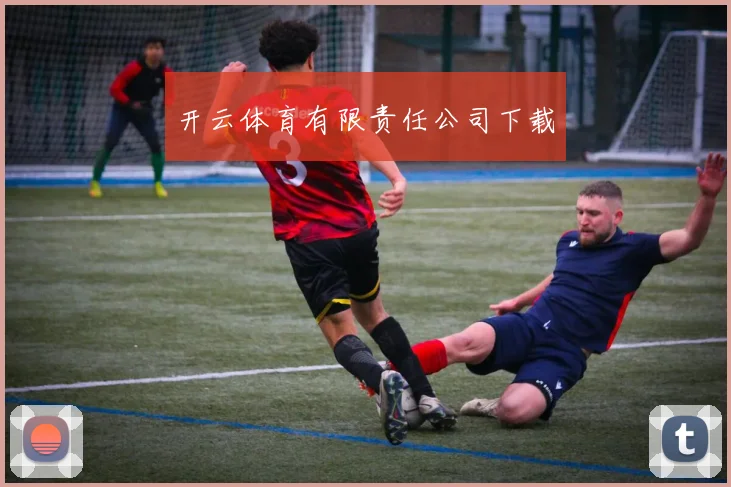 开云体育有限责任公司下载