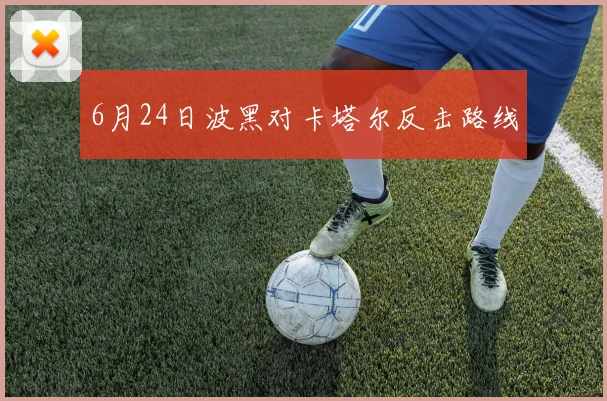 6月24日波黑对卡塔尔反击路线