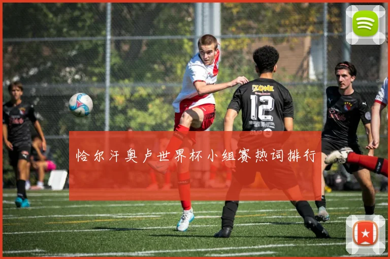 恰尔汗奥卢世界杯小组赛热词排行