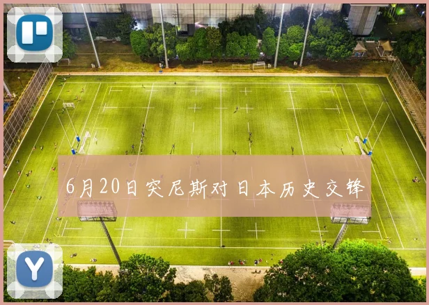 6月20日突尼斯对日本历史交锋