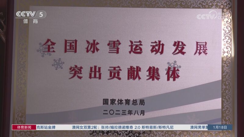 细数本泽马