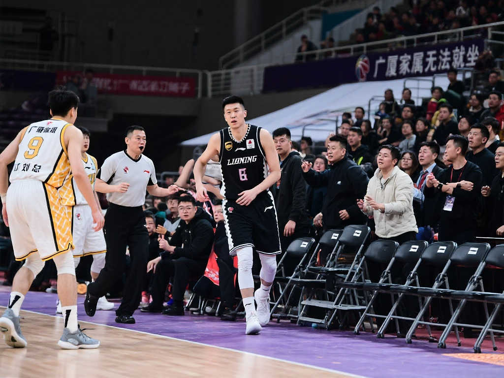 提供了启示 提供了启示