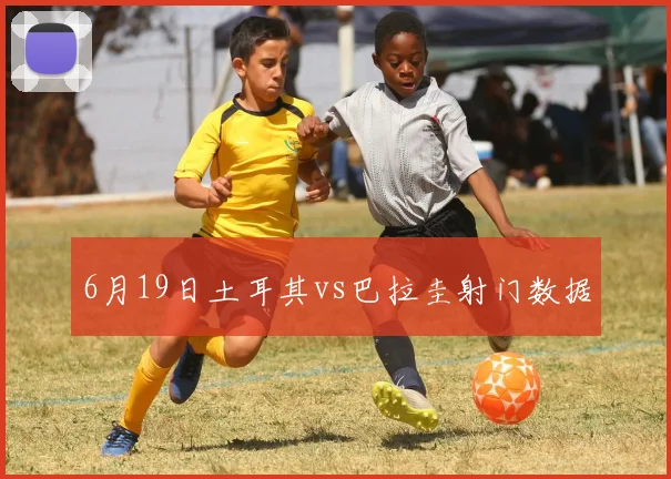6月19日土耳其vs巴拉圭射门数据