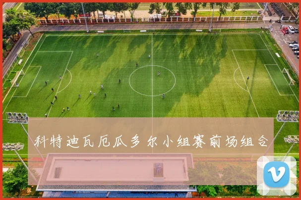 科特迪瓦厄瓜多尔小组赛前场组合