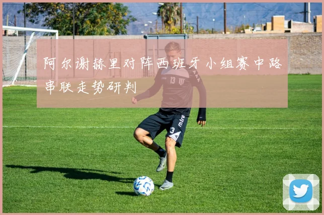 阿尔谢赫里对阵西班牙小组赛中路串联走势研判