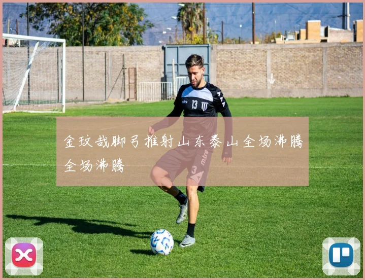 金玟哉脚弓推射山东泰山全场沸腾全场沸腾