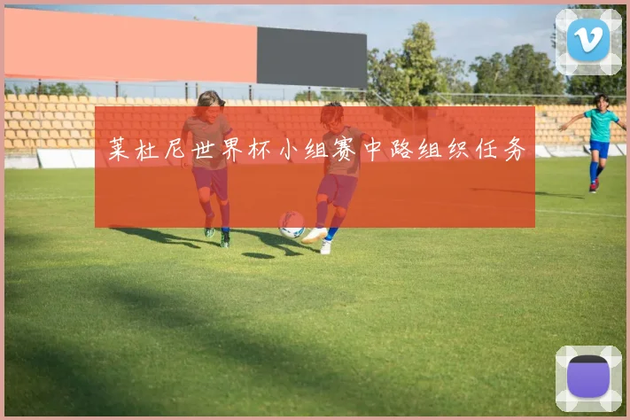 莱杜尼世界杯小组赛中路组织任务